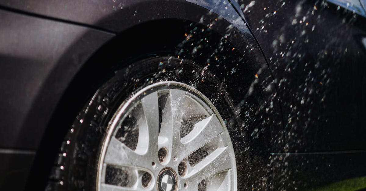 Expert Lawn Care Services in Mesa